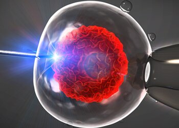 Na czym polega zapłodnienie &quot;In vitro&quot;