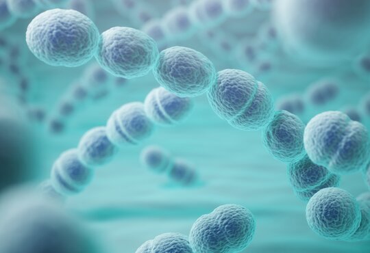 Pneumokoki a koronawirus. Szczepienie może uratować życie